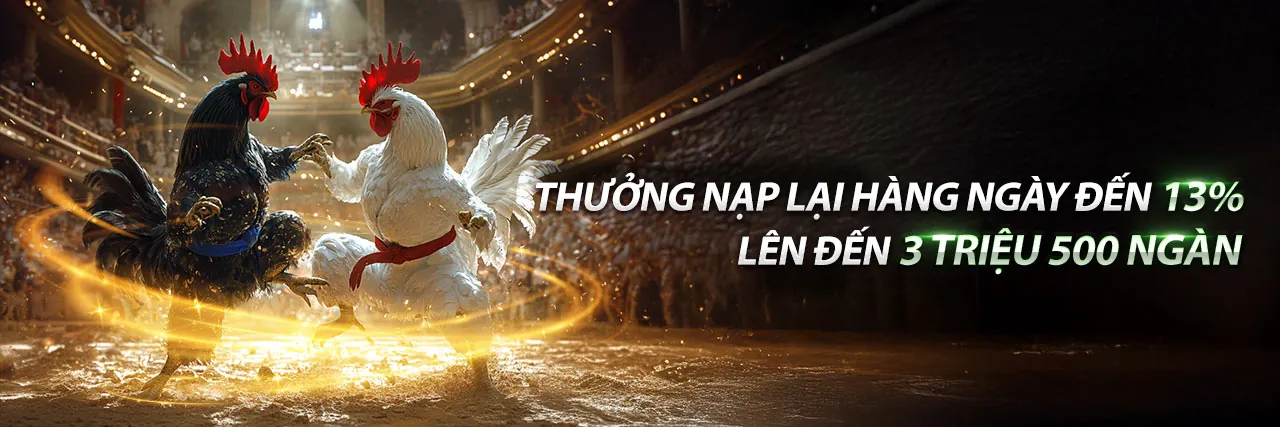 Đá gà trực tuyến kịch tính tại 1xbet Nổ Hũ